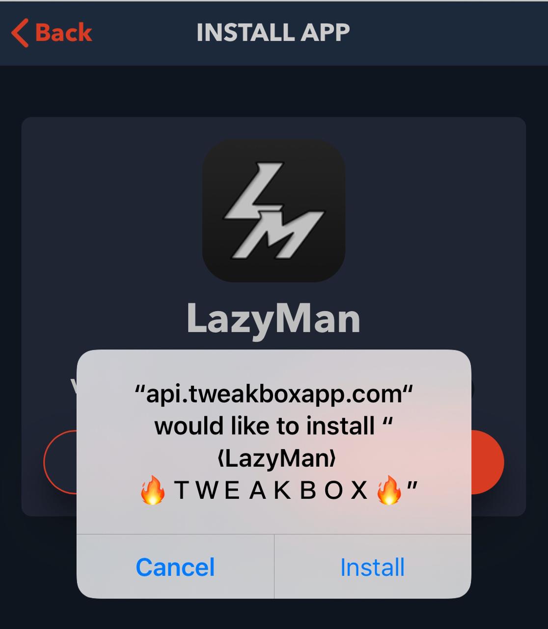 Install LazyMan iOS